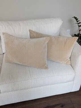 Indaba Neutral Beige Velvet Throw Pillow - Soft Velvet Look - PILLOW COVERS ONLY